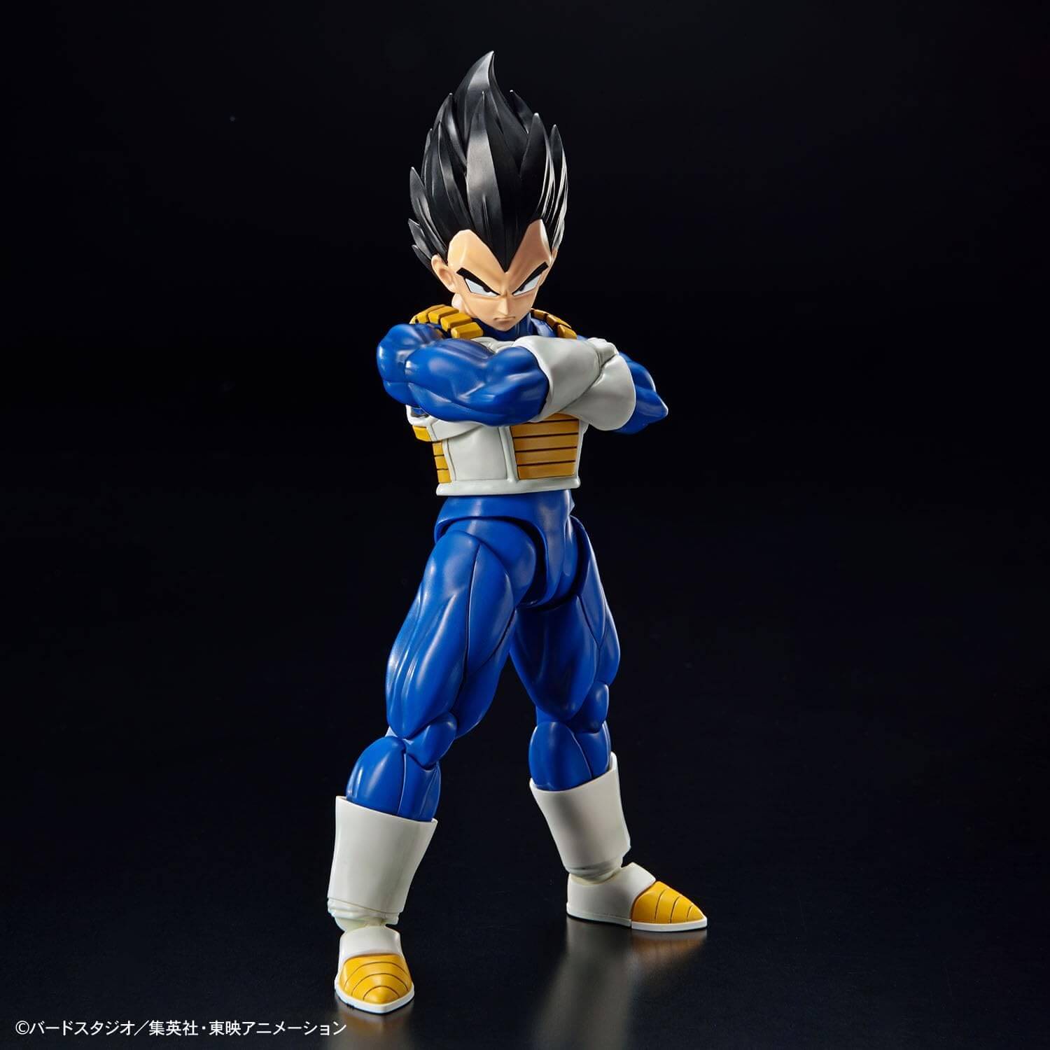 DRAGON BALL - FR Standard Vegeta (NEW SPEC Ver.) | BANDAI